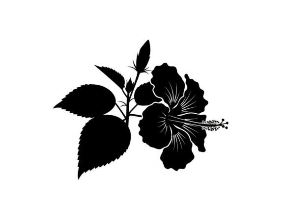 Black Silhouette of Hibiscus Flower Graphics