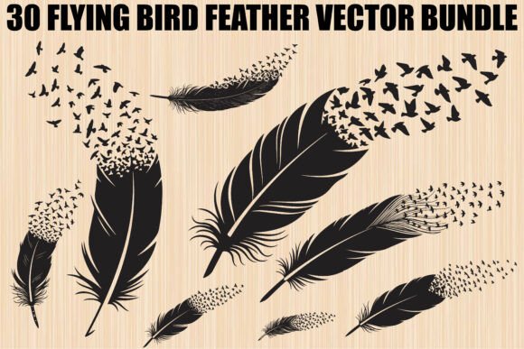 Flying Bird Feather Silhouette Bundle: Graphics & Illustrations